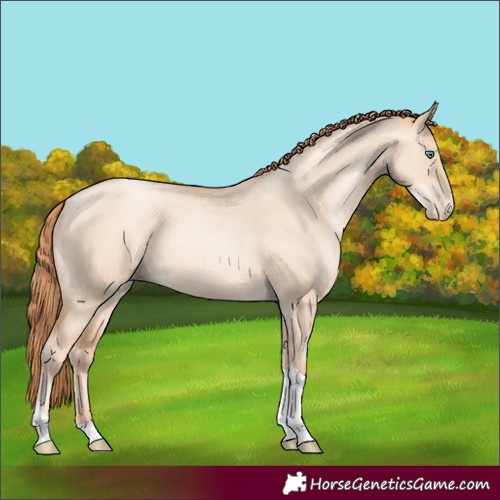 Horse Color:Classic Champagne Pearl Dun Sabino Tobiano 
