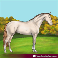 Horse Color:Classic Champagne Pearl Dun Sabino Tobiano