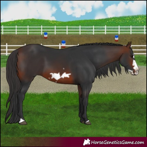 Horse Color:Brown Frame 