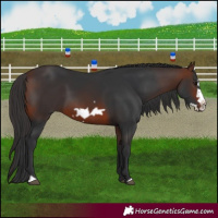 Horse Color:Brown Frame 