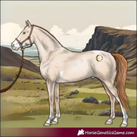 Horse Color:Sable Champagne Pearl Dun Sabino Tobiano