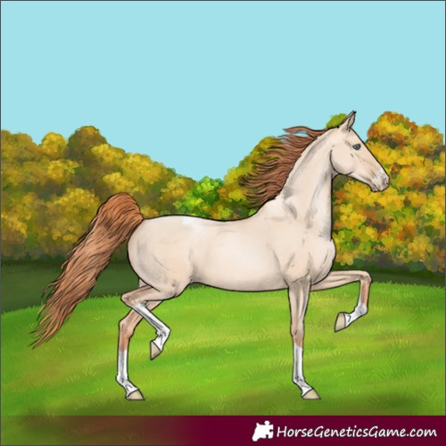 Horse Color:Sable Champagne Pearl Dun Sabino Tobiano 