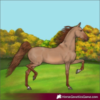 Horse Color:Red Dun