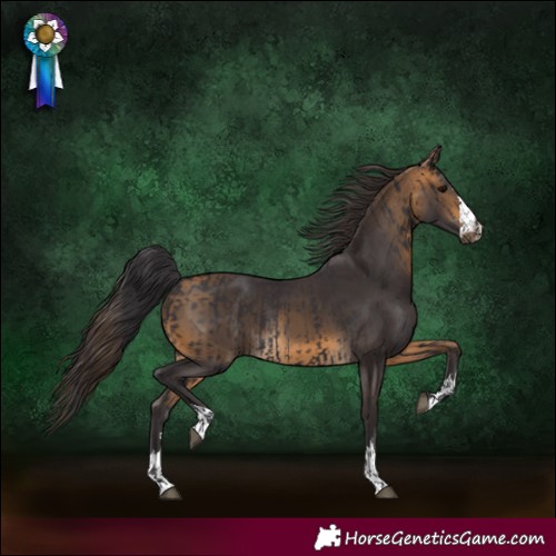 Horse Color:Smoky Black  and Buckskin 