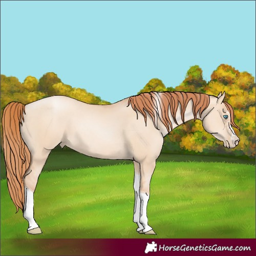 Horse Color:Sable Champagne Pearl Dun Sabino Tobiano 