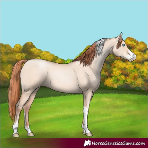 Horse Color:Sable Champagne Pearl Dun Sabino Tobiano 