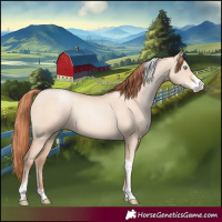 Horse Color:Sable Champagne Pearl Dun Sabino Tobiano 