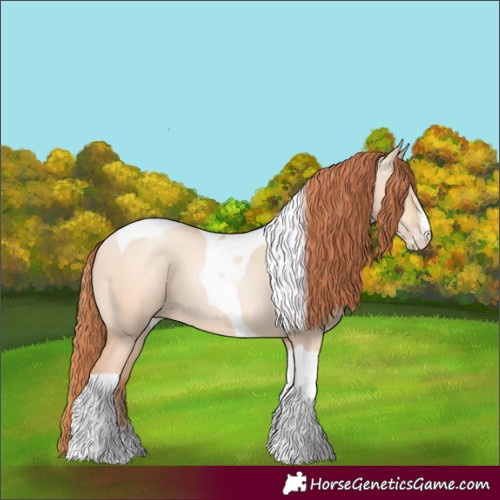 Horse Color:Classic Champagne Pearl Dun Sabino Tobiano 