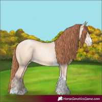 Horse Color:Sable Champagne Pearl Dun Sabino Tobiano 