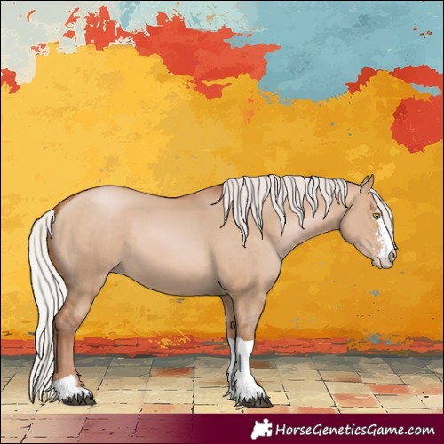 Horse Color:Silver Brown Pearl Dun Sabino Tobiano 