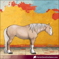 Horse Color:Silver Brown Pearl Dun Sabino Tobiano 