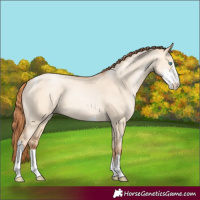 Horse Color:Sable Champagne Pearl Dun Sabino Tobiano