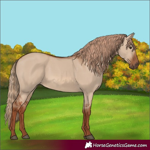 Horse Color:Red Dun 