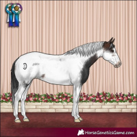 Horse Color:Brown Tobiano Frame 