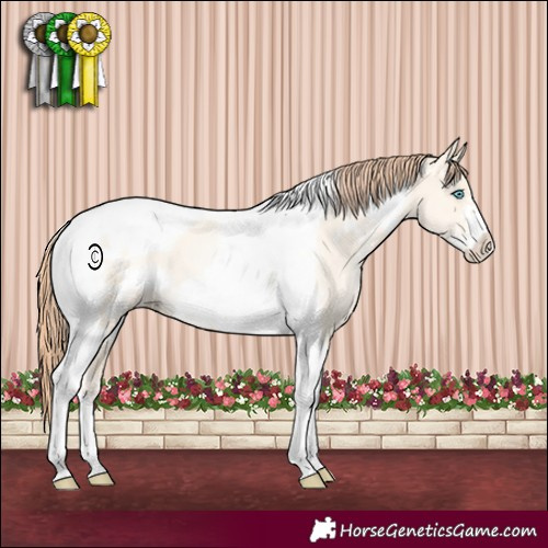 Horse Color:Classic Cream Champagne Pearl Dun Tobiano Frame 
