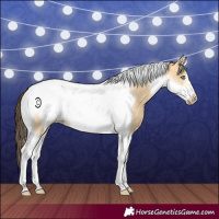 Horse Color:Amber Cream Champagne Dun Tobiano Frame