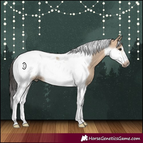 Horse Color:Bay Dun Tobiano Frame 