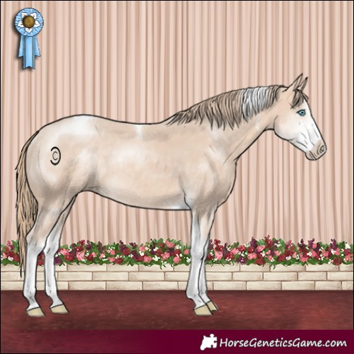 Horse Color:Perlino Sabino Tobiano Rabicano 