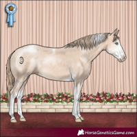 Horse Color:Perlino Sabino Tobiano Rabicano