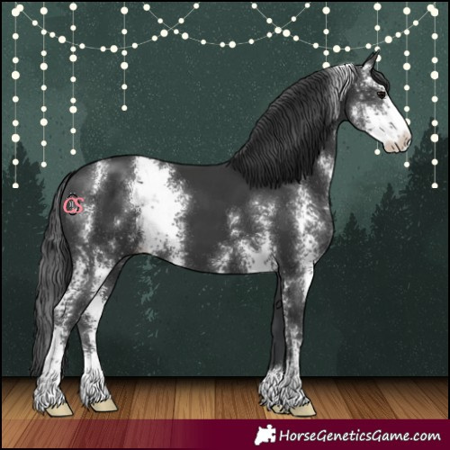 Horse Color:Black Sabino 