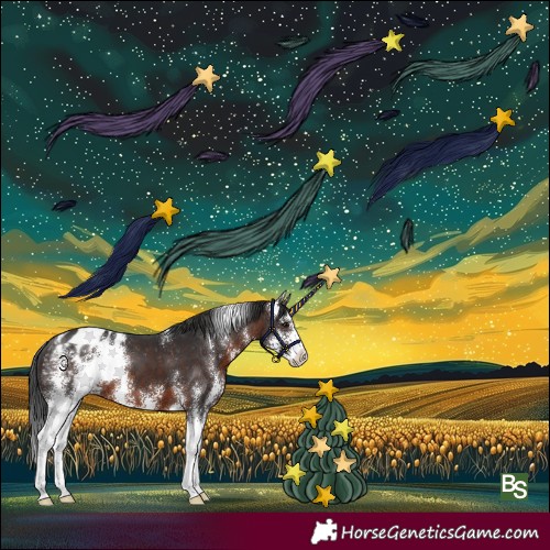 Horse Color:Brown Sabino Appaloosa 