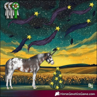Horse Color:Brown Sabino Appaloosa 