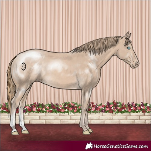 Horse Color:Perlino Sabino