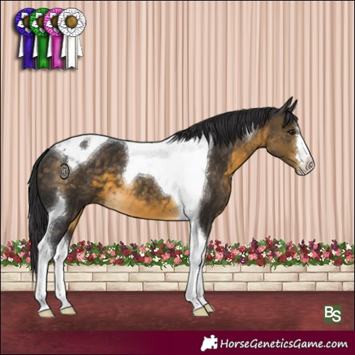 Horse Color:Buckskin Tobiano 