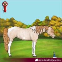 Horse Color:Red Roan Pearl Tobiano Frame 