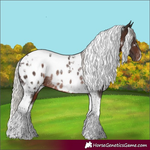 Horse Color:White Spotted Silver Brown Tobiano Appaloosa Rabicano 