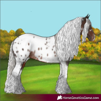 Horse Color:White Spotted Silver Brown Tobiano Blanket Rabicano 