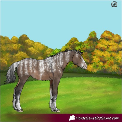 Horse Color:Powder White Brown Dun