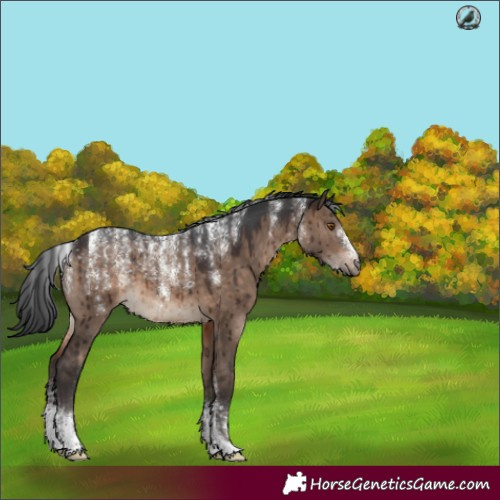 Horse Color:Powder White Brown Dun Brindle 