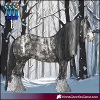 Horse Color:Powder White Black