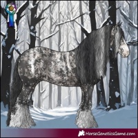 Horse Color:Powder White Black