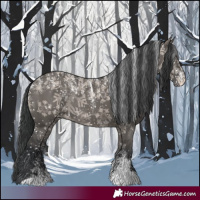 Horse Color:Powder White Grullo Appaloosa Rabicano 