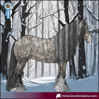 Horse Color:Powder White Grullo Appaloosa Rabicano 