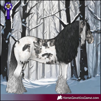 Horse Color:White Spotted Black Tobiano 