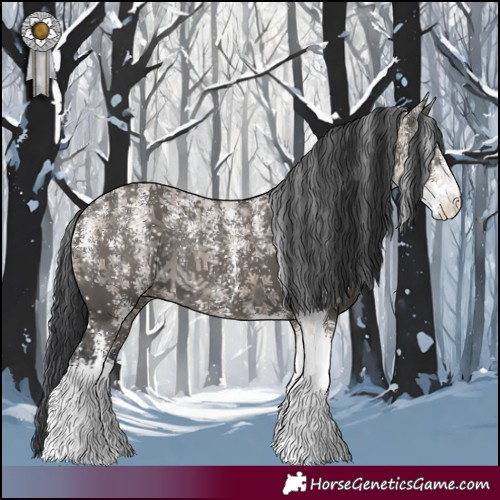 Horse Color:Powder White Grullo Sabino