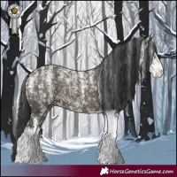 Horse Color:Powder White Grullo Sabino 