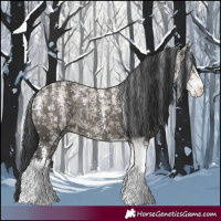 Horse Color:Powder White Grullo Sabino 