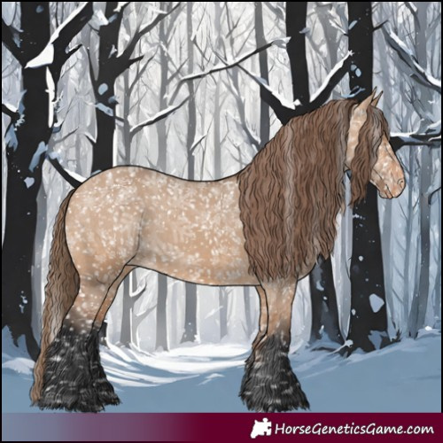 Horse Color:Bay Dun Appaloosa 