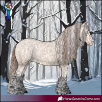 Horse Color:Bay Dun Appaloosa