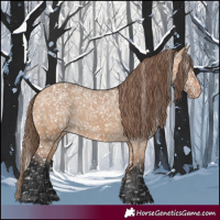Horse Color:Bay Dun Appaloosa