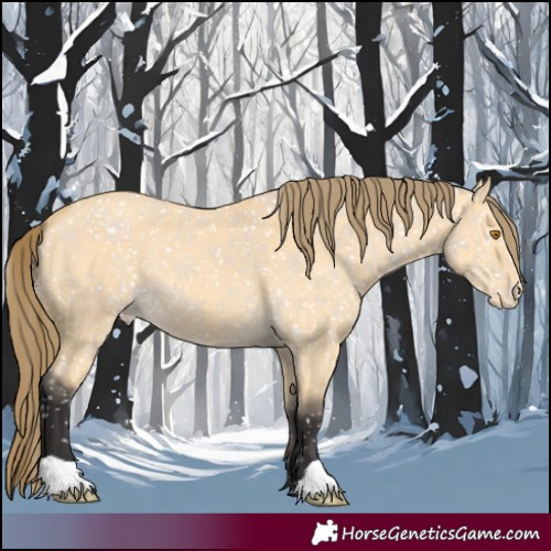 Horse Color:Buckskin Dun Snowflake Varnish