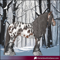 Horse Color:Bay Near Leopard 