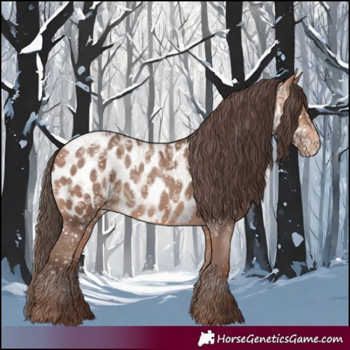 Horse Color:Amber Champagne Appaloosa 