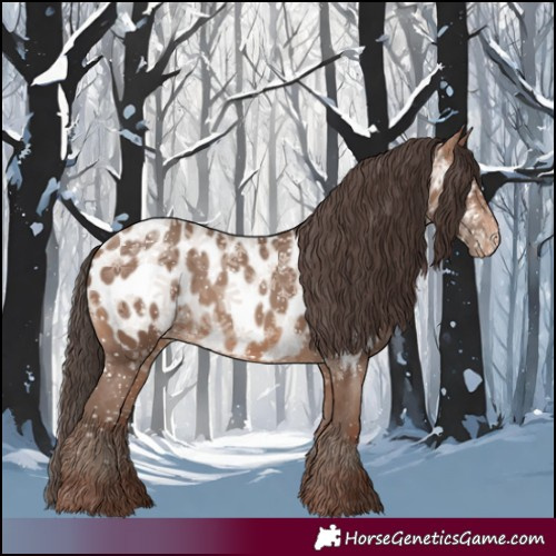 Horse Color:Sable Champagne Appaloosa