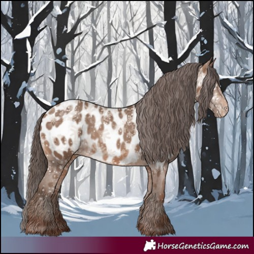 Horse Color:Sable Champagne Appaloosa