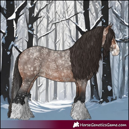 Horse Color:Brown Roan Splash